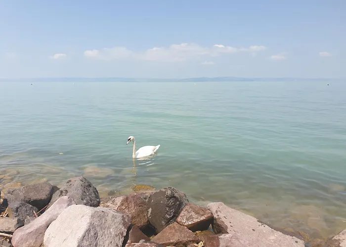 Balaton Lakeside Residence